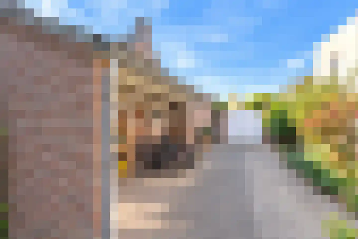 Monseigneur Geurtsstraat 29 Maashees thumbnail 17