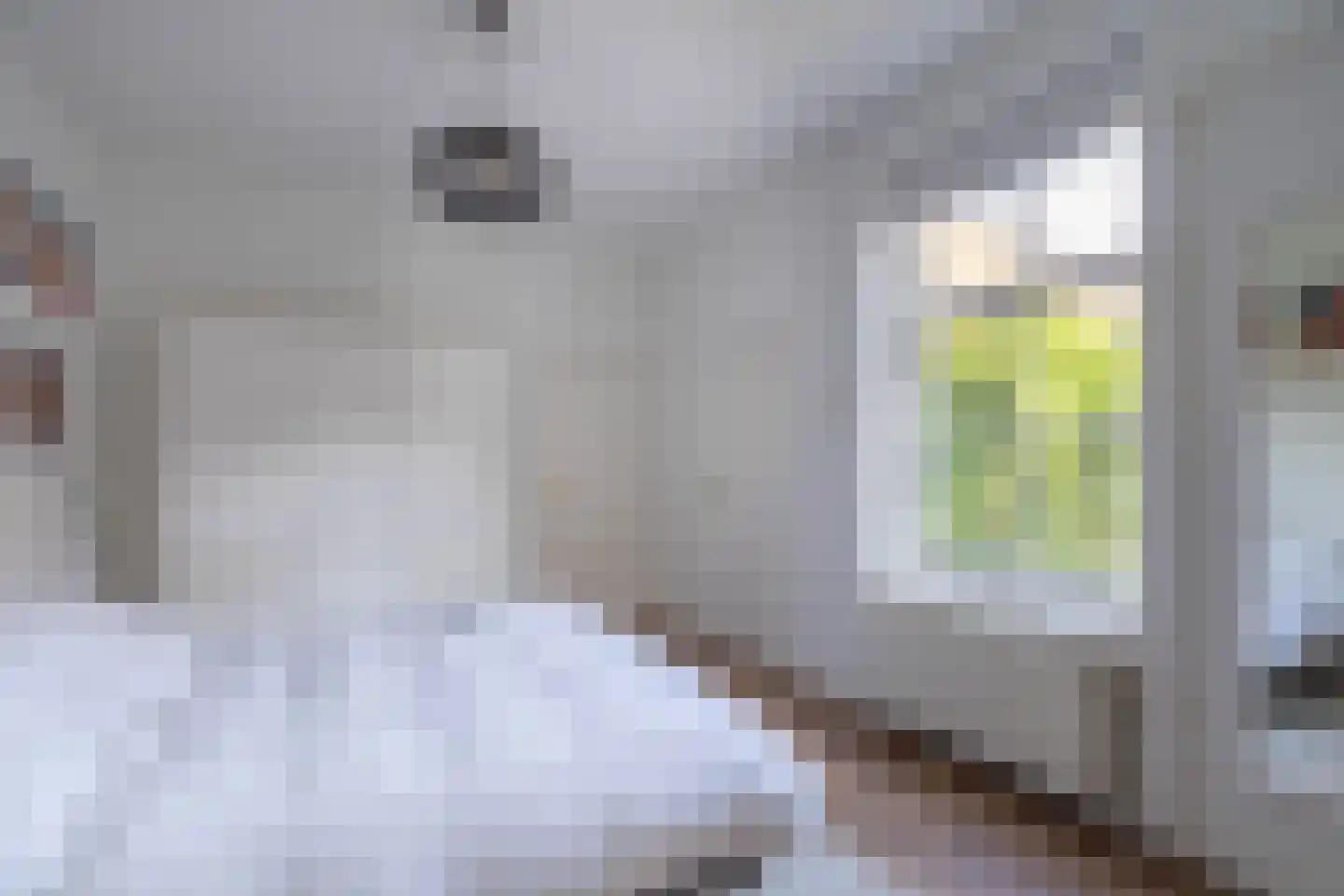 Monseigneur Geurtsstraat 29 Maashees thumbnail 33