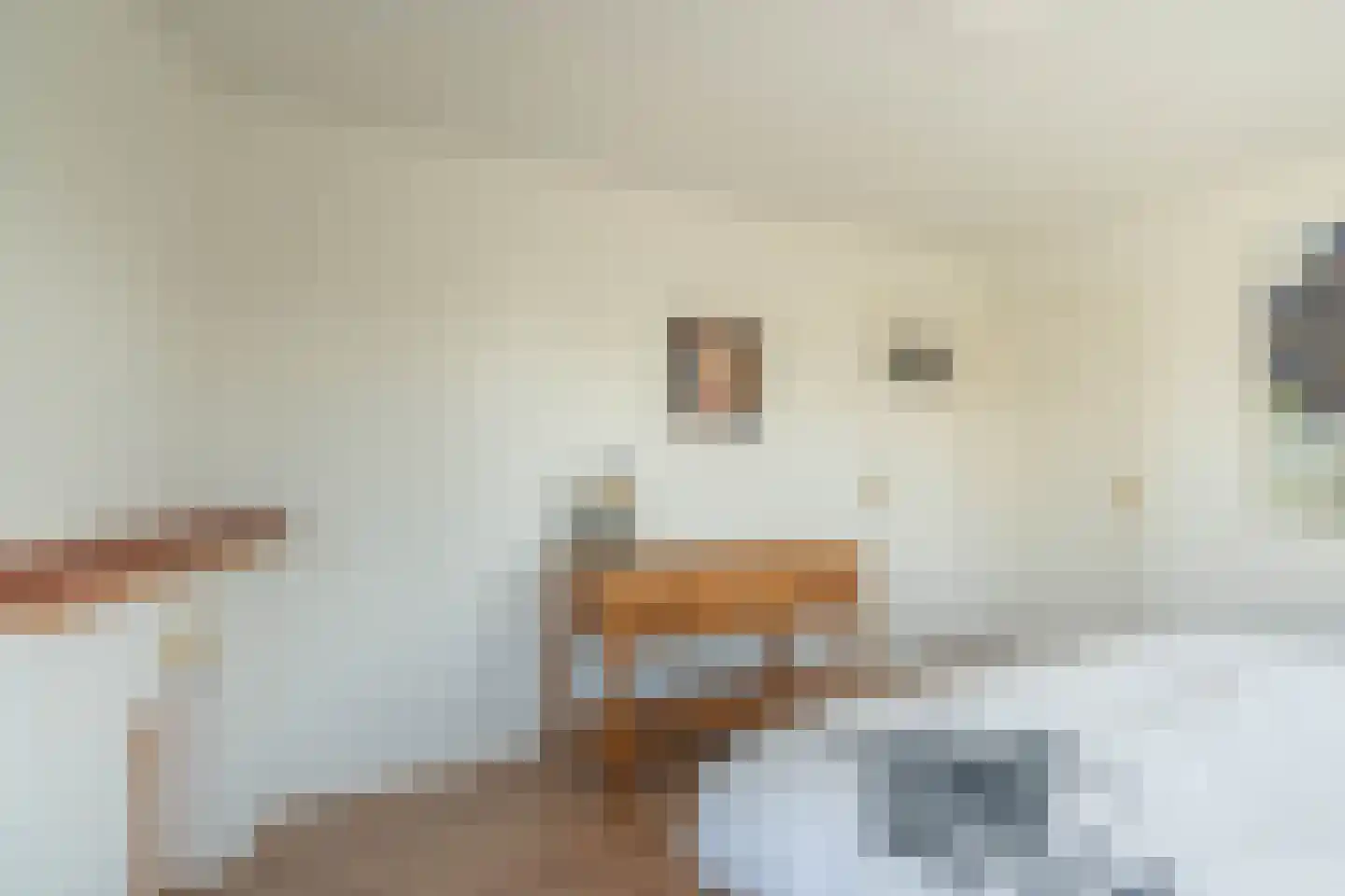 Monseigneur Geurtsstraat 29 Maashees thumbnail 48