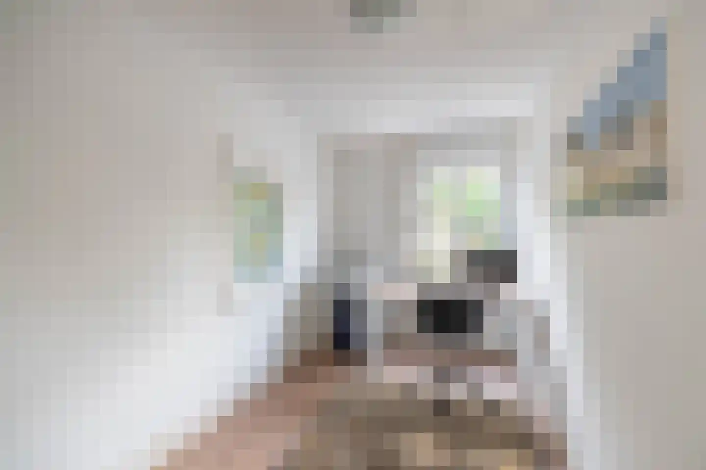 Monseigneur Geurtsstraat 29 Maashees thumbnail 54