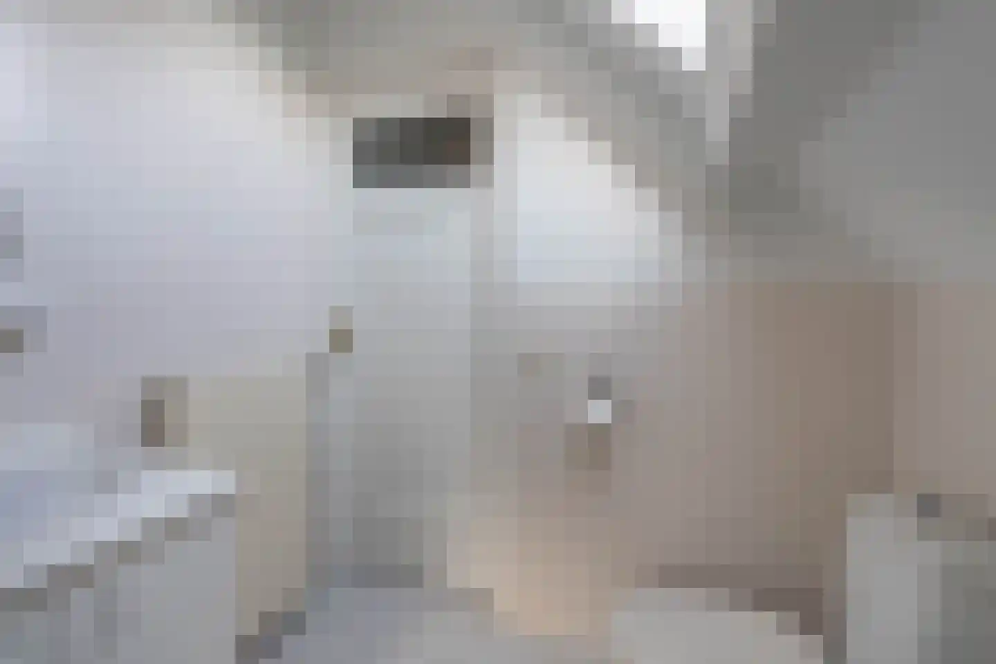 Monseigneur Geurtsstraat 29 Maashees thumbnail 56