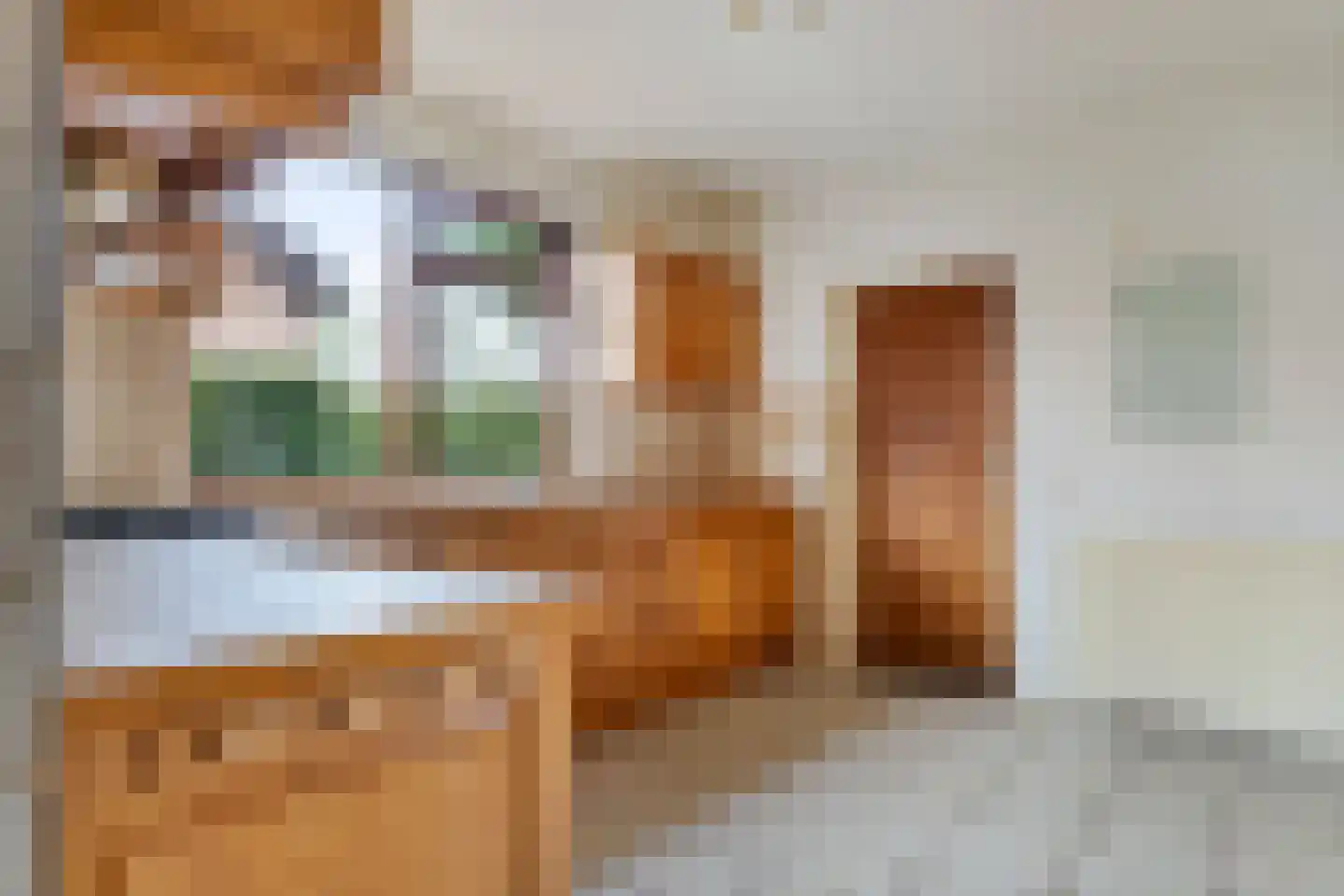 Monseigneur Geurtsstraat 3 Maashees thumbnail 12