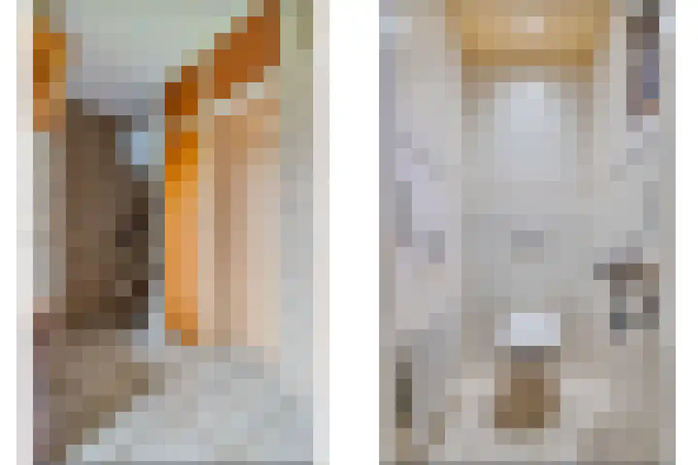Monseigneur Geurtsstraat 3 Maashees thumbnail 19