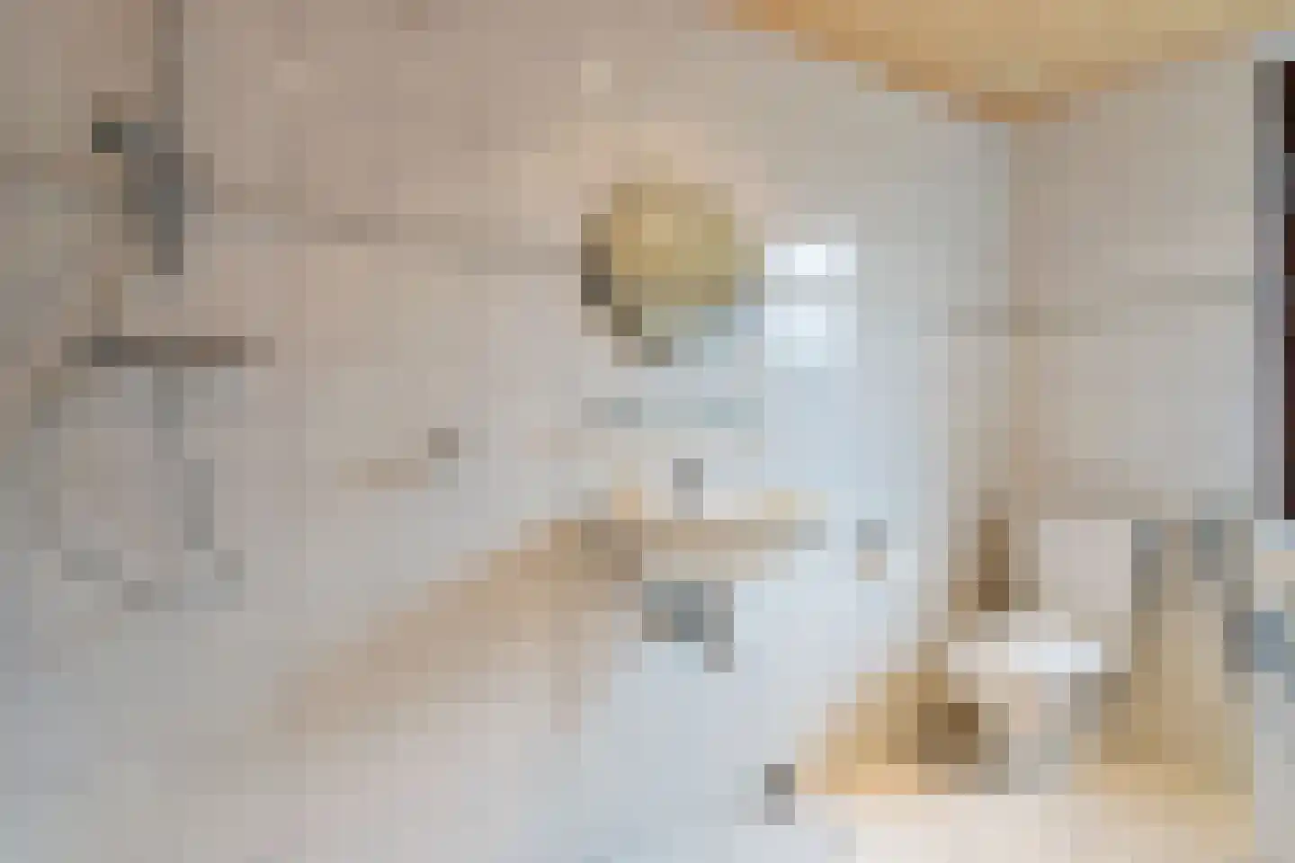 Monseigneur Geurtsstraat 3 Maashees thumbnail 27