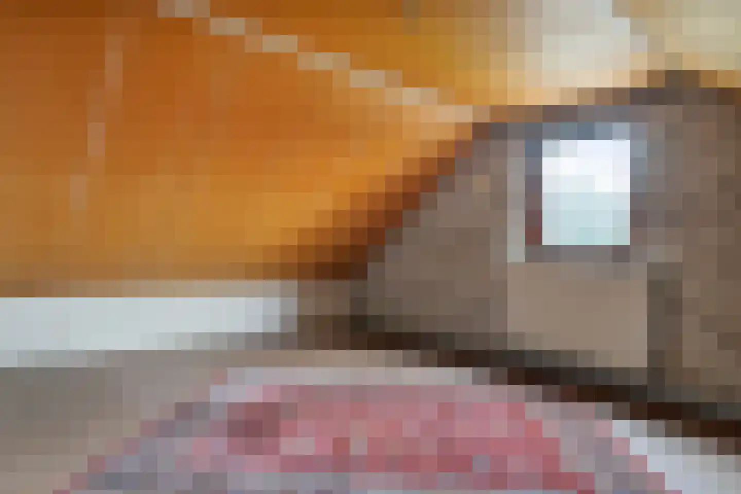 Monseigneur Geurtsstraat 3 Maashees thumbnail 30