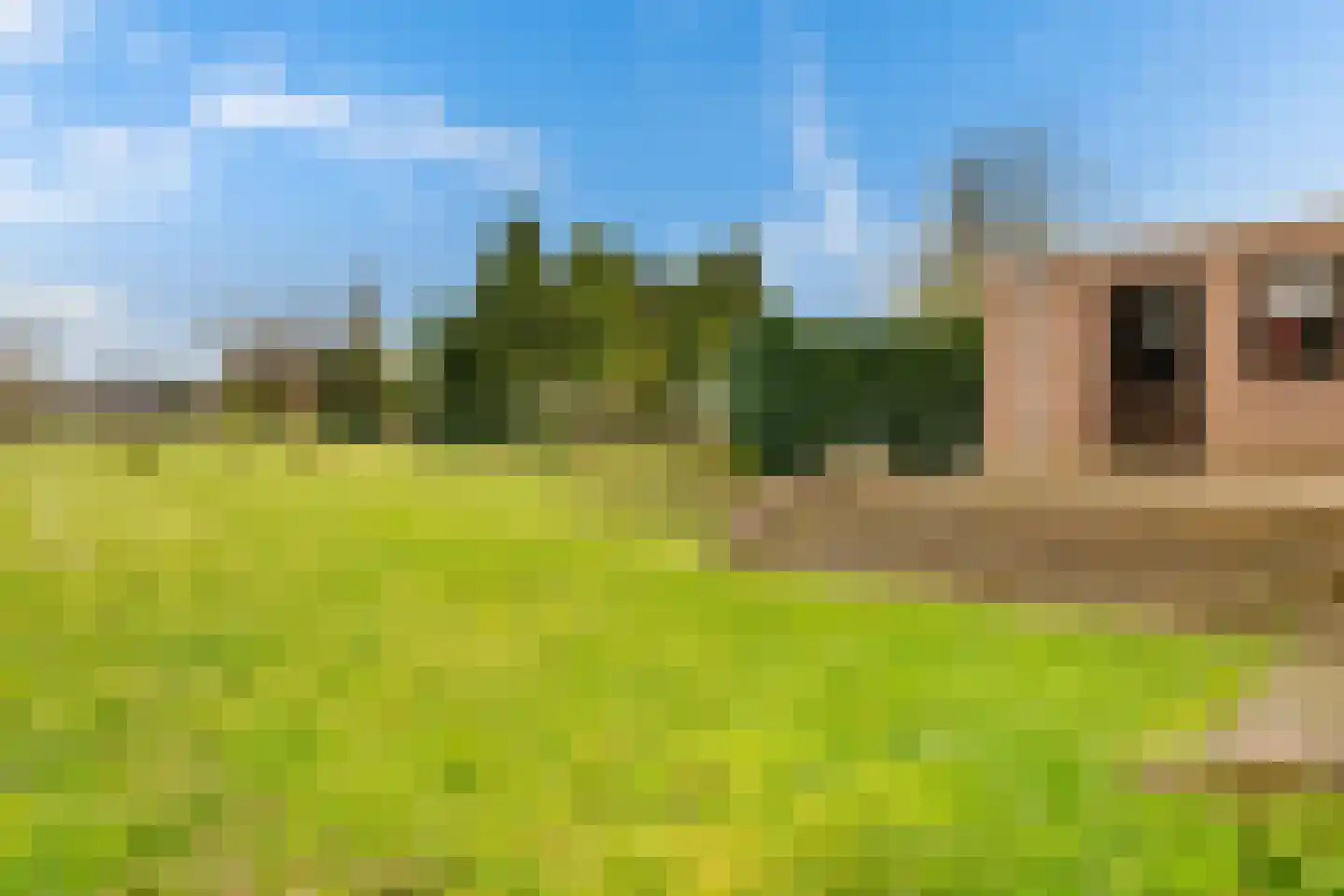 Monseigneur Geurtsstraat 3 Maashees thumbnail 41
