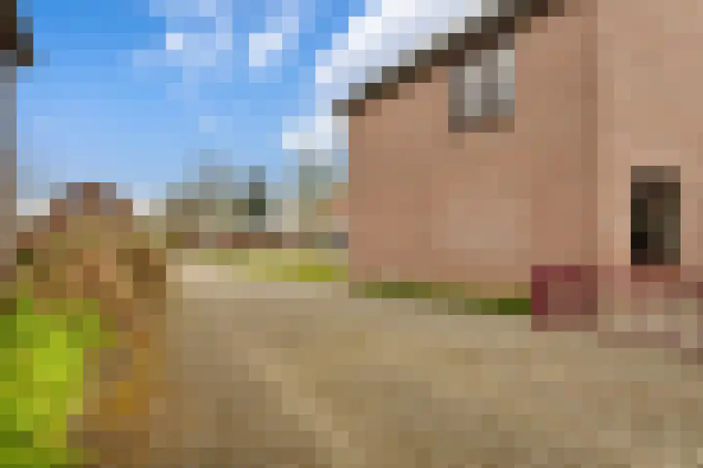 Monseigneur Geurtsstraat 3 Maashees thumbnail 45
