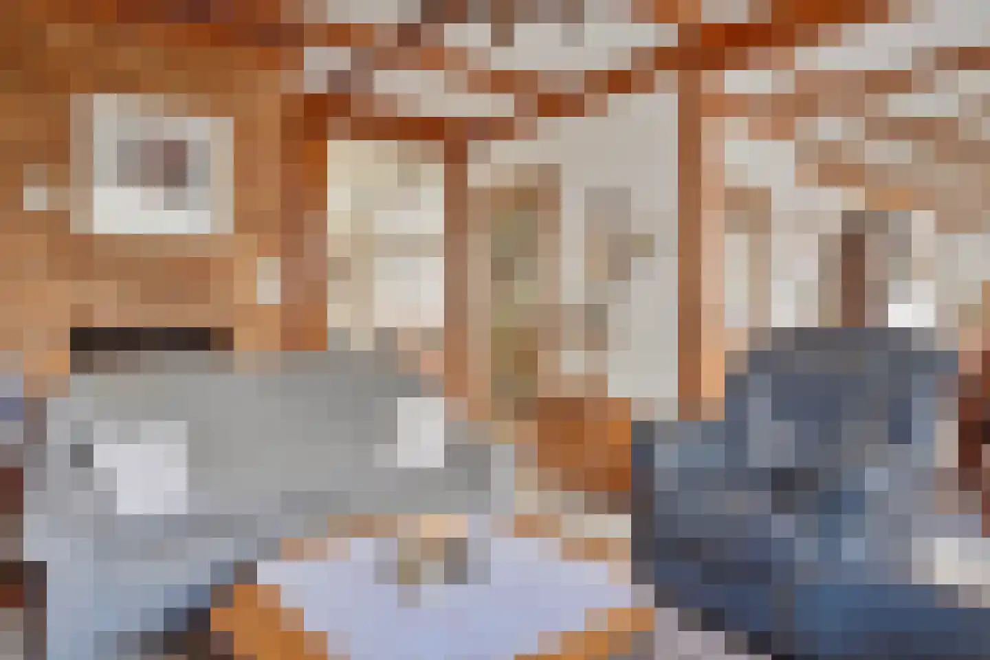 Monseigneur Geurtsstraat 54 Maashees thumbnail 17
