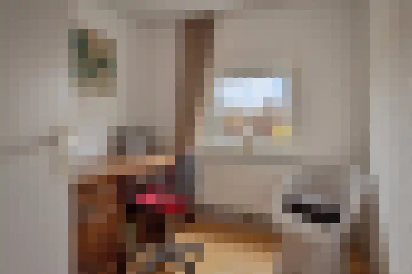Monseigneur Geurtsstraat 54 Maashees thumbnail 30