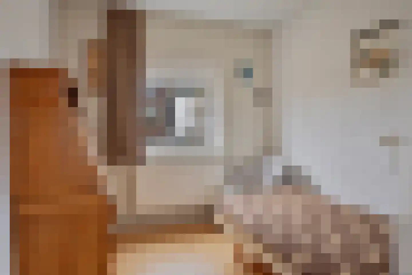 Monseigneur Geurtsstraat 54 Maashees thumbnail 31