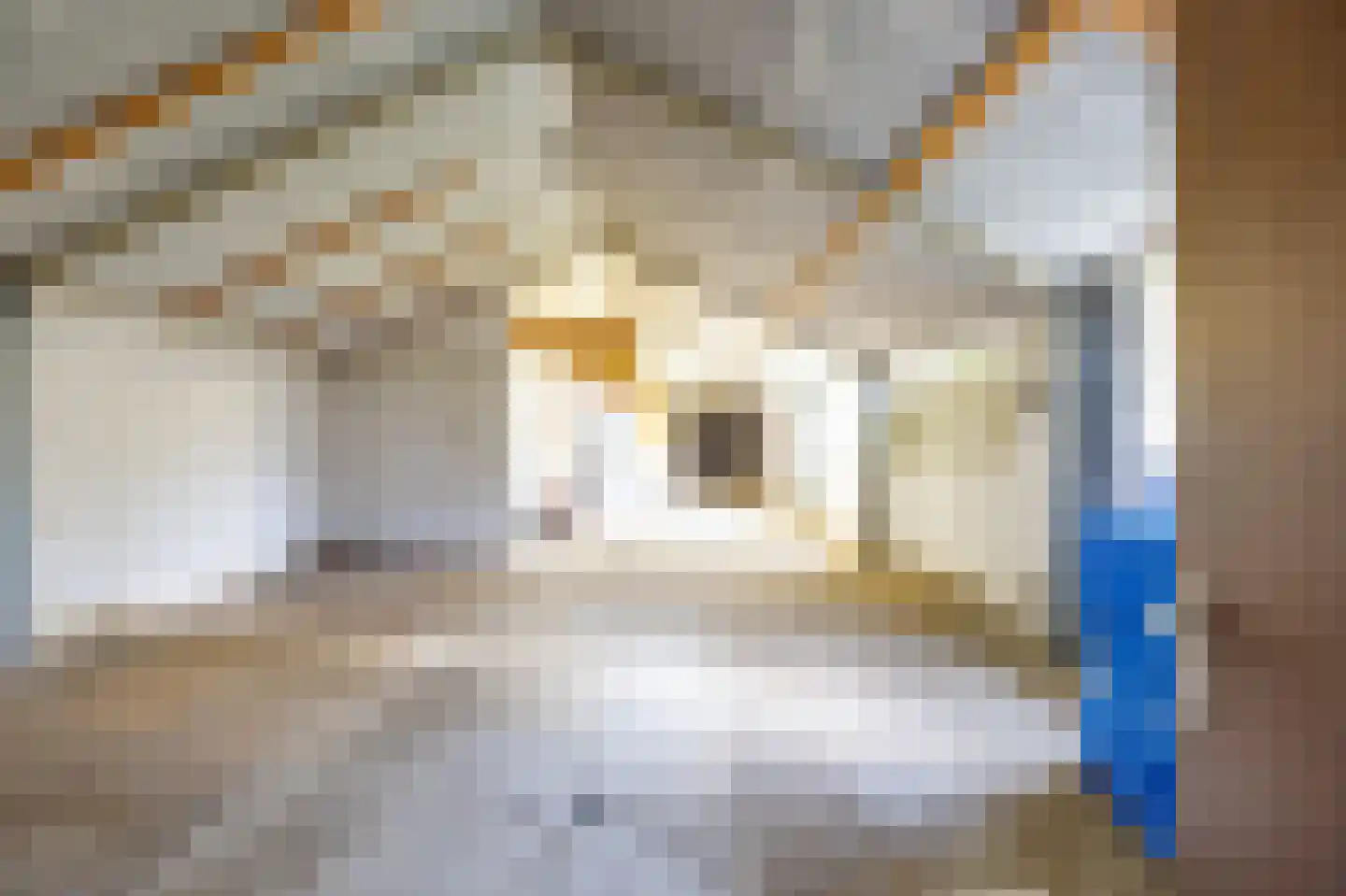 Monseigneur Geurtsstraat 54 Maashees thumbnail 45