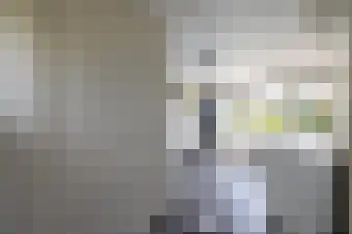 Monseigneur Hendriksenstraat 2 Wehl thumbnail 13