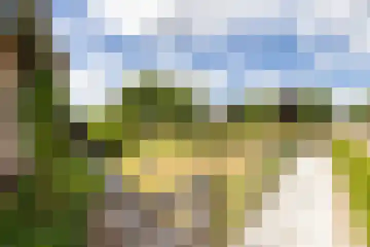 Monseigneur Hendriksenstraat 2 Wehl thumbnail 17