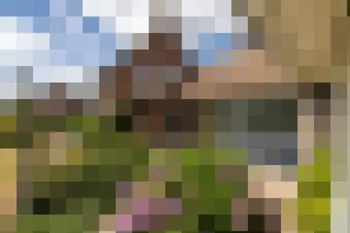 Monseigneur Hendriksenstraat 2 Wehl thumbnail 20