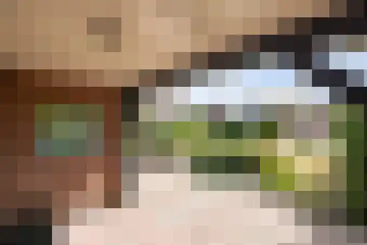 Monseigneur Hendriksenstraat 2 Wehl thumbnail 21