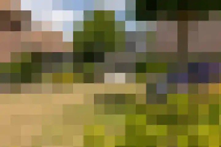 Monseigneur Hendriksenstraat 2 Wehl thumbnail 22