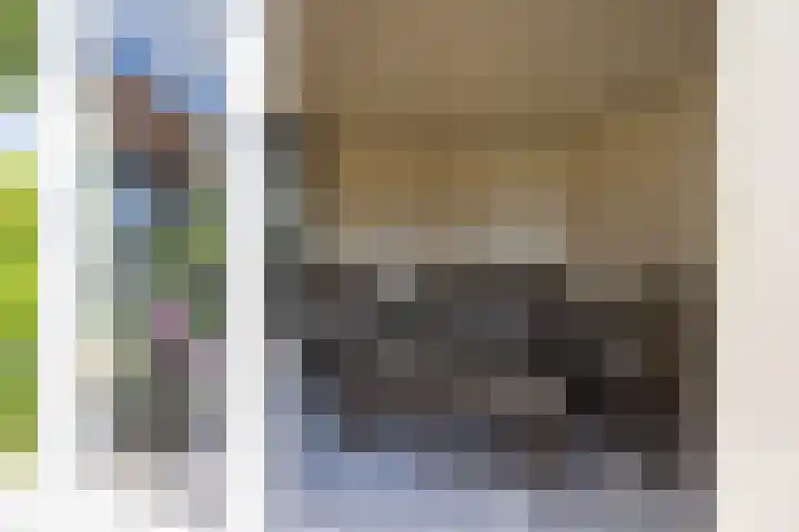 Monseigneur Hendriksenstraat 2 Wehl thumbnail 23