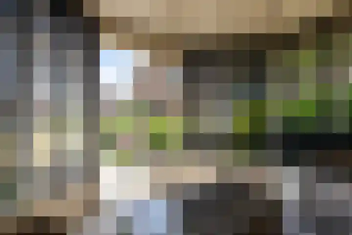 Monseigneur Hendriksenstraat 2 Wehl thumbnail 24