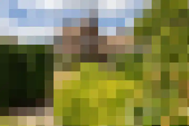 Monseigneur Hendriksenstraat 2 Wehl thumbnail 25