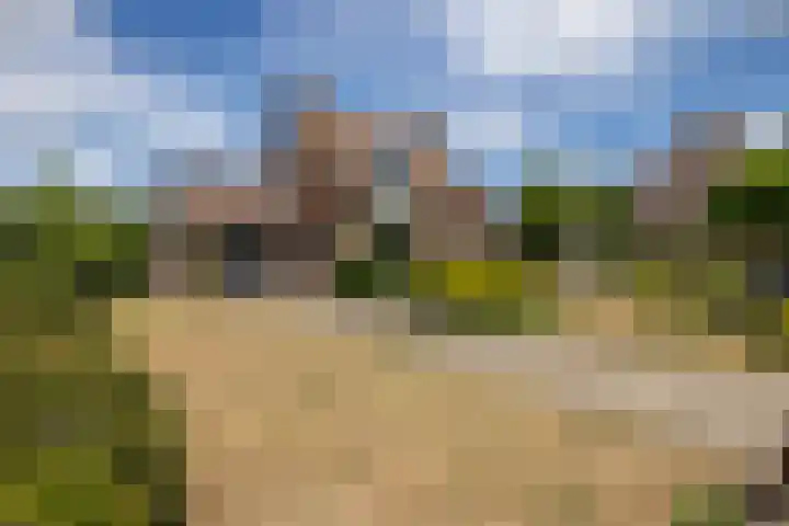 Monseigneur Hendriksenstraat 2 Wehl thumbnail 26