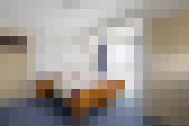 Monseigneur Hendriksenstraat 2 Wehl thumbnail 32