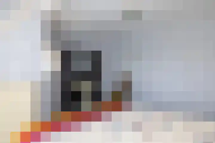 Monseigneur Hendriksenstraat 2 Wehl thumbnail 34