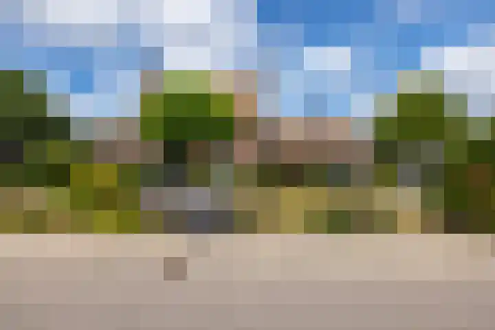 Monseigneur Hendriksenstraat 2 Wehl thumbnail 44
