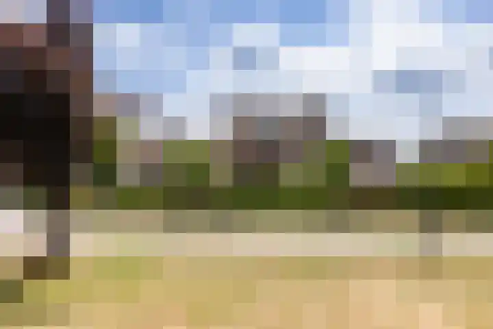 Monseigneur Hendriksenstraat 2 Wehl thumbnail 45