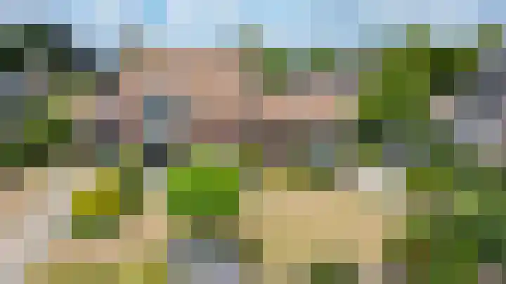 Monseigneur Hendriksenstraat 2 Wehl thumbnail 50