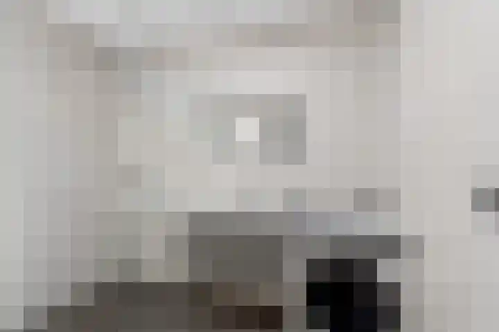 Monseigneur Hendriksenstraat 8 Wehl thumbnail 16