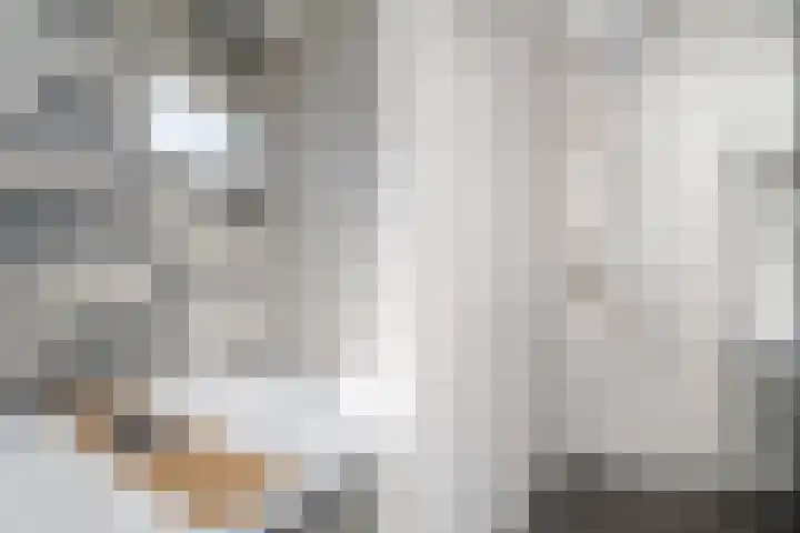 Monseigneur Hendriksenstraat 8 Wehl thumbnail 17