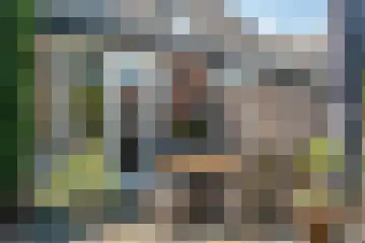 Monseigneur Hendriksenstraat 8 Wehl thumbnail 20