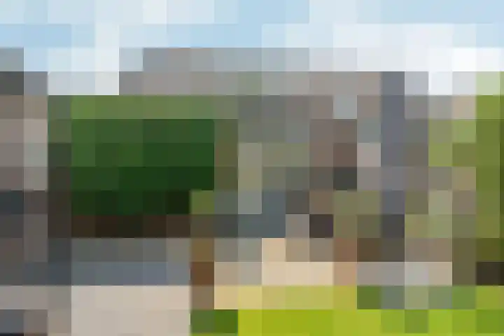 Monseigneur Hendriksenstraat 8 Wehl thumbnail 21