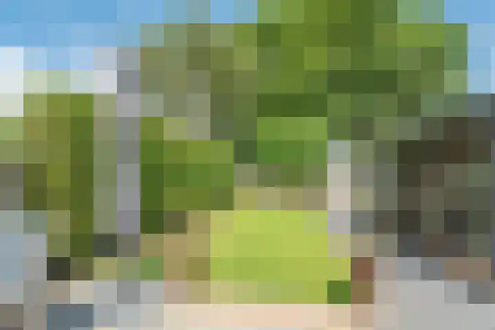 Monseigneur Hendriksenstraat 8 Wehl thumbnail 22