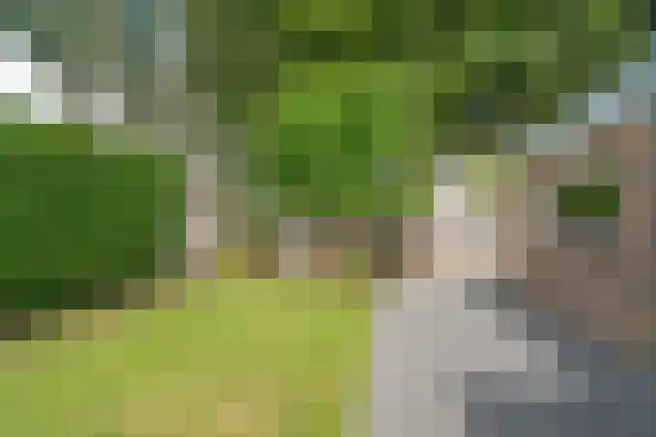 Monseigneur Hendriksenstraat 8 Wehl thumbnail 24