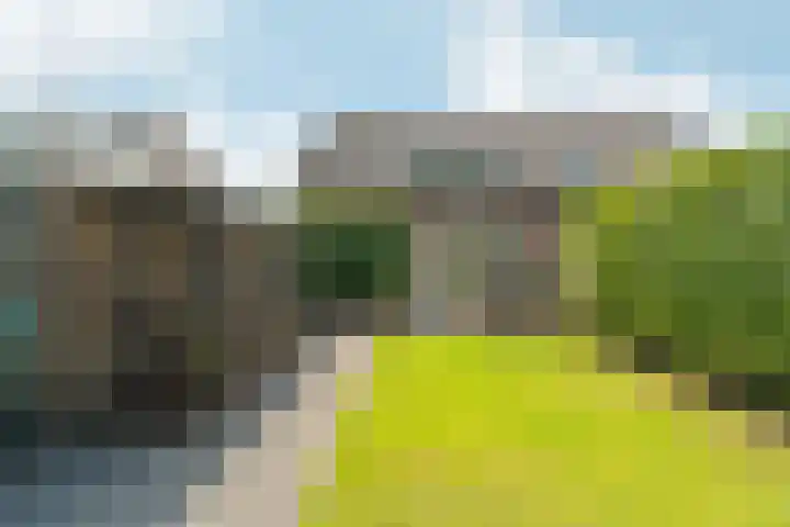 Monseigneur Hendriksenstraat 8 Wehl thumbnail 25