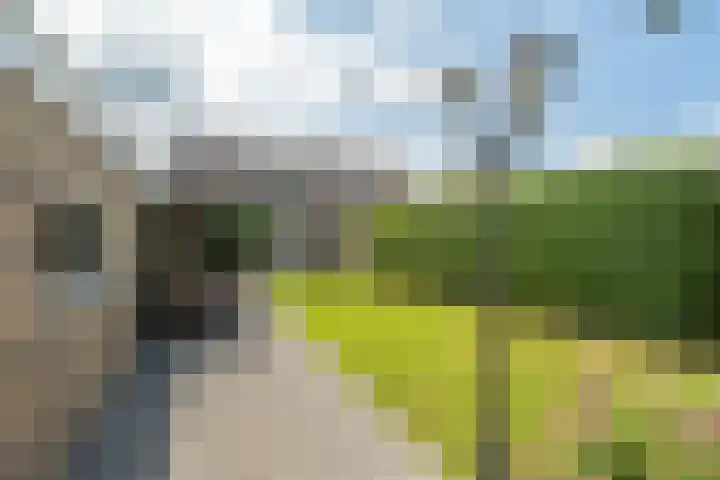 Monseigneur Hendriksenstraat 8 Wehl thumbnail 26