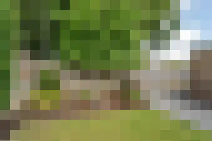 Monseigneur Hendriksenstraat 8 Wehl thumbnail 27