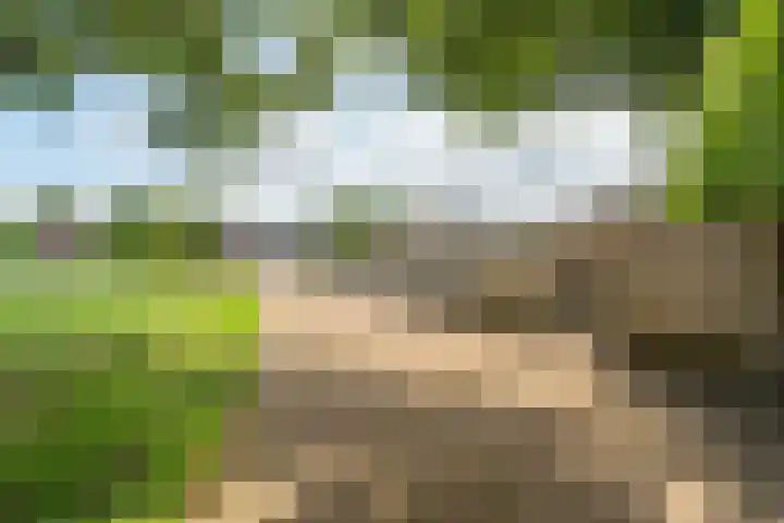 Monseigneur Hendriksenstraat 8 Wehl thumbnail 29