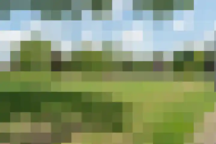 Monseigneur Hendriksenstraat 8 Wehl thumbnail 30
