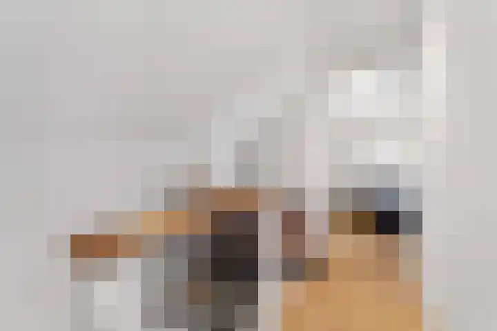 Monseigneur Hendriksenstraat 8 Wehl thumbnail 35