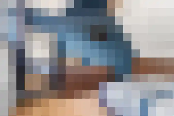 Monseigneur Hendriksenstraat 8 Wehl thumbnail 38