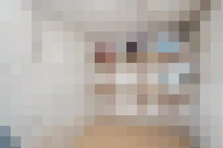Monseigneur Hendriksenstraat 8 Wehl thumbnail 45