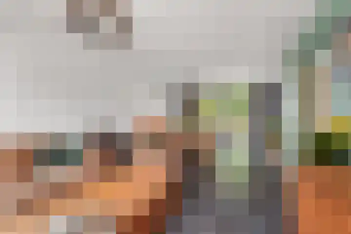 Monseigneur Hendriksenstraat 8 Wehl thumbnail 5