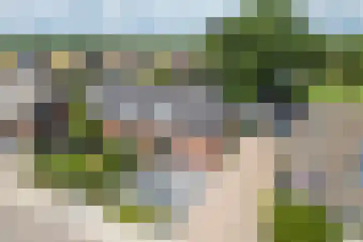Monseigneur Hendriksenstraat 8 Wehl thumbnail 50