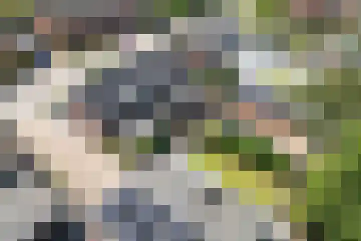 Monseigneur Hendriksenstraat 8 Wehl thumbnail 51