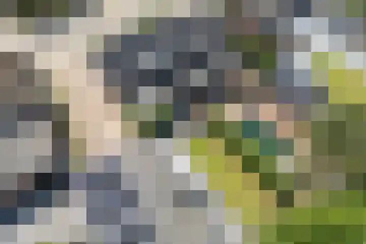 Monseigneur Hendriksenstraat 8 Wehl thumbnail 52
