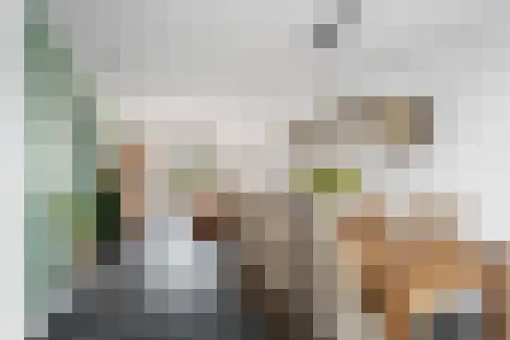 Monseigneur Hendriksenstraat 8 Wehl thumbnail 7