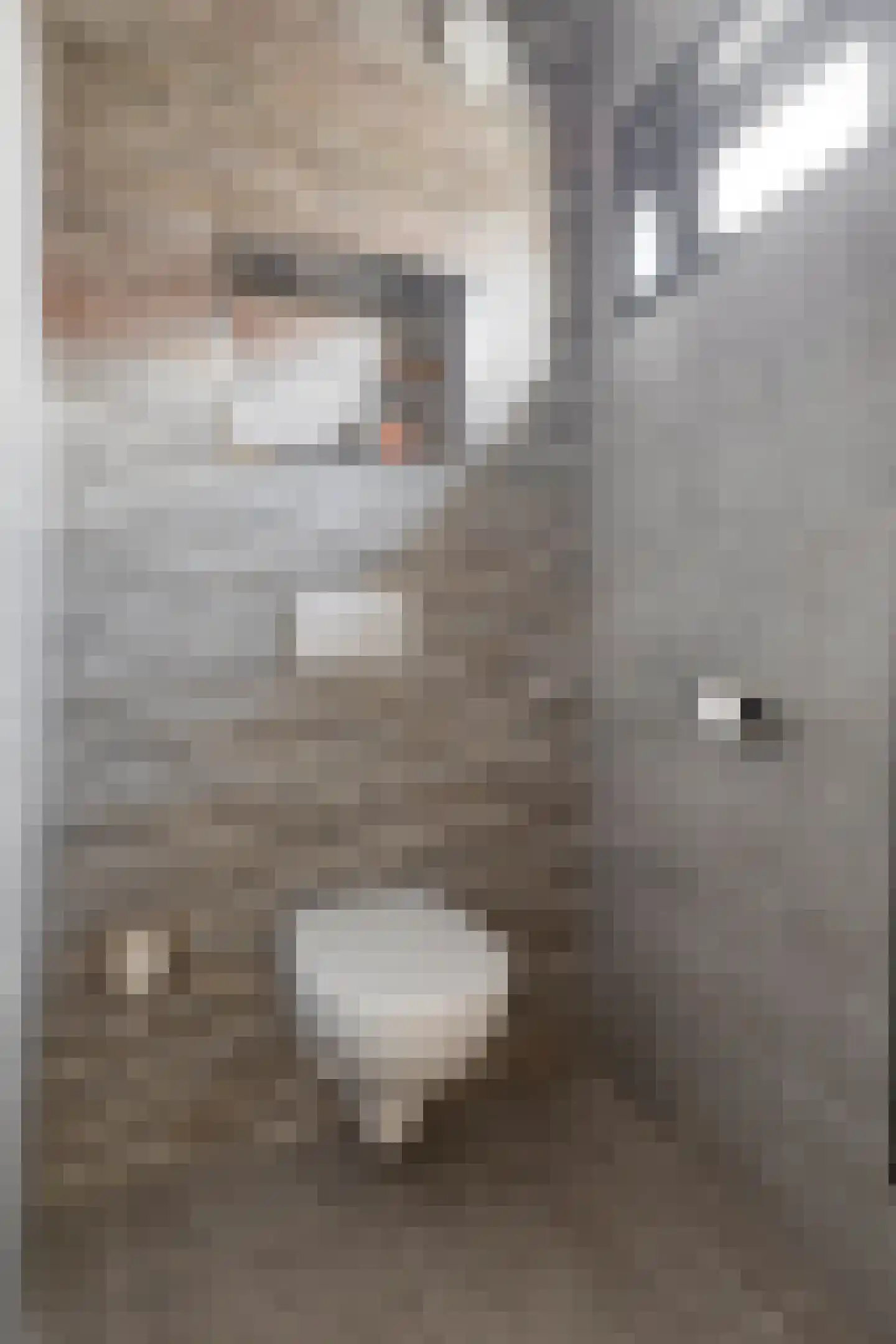 Monseigneur Luijpenstraat 1 Hoofdplaat thumbnail 12