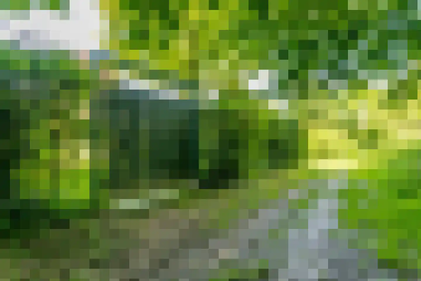 Monseigneur Mannensstraat 12 Merkelbeek thumbnail 39